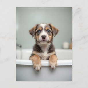 Cartão Postal Cachorro engraçado no banheiro