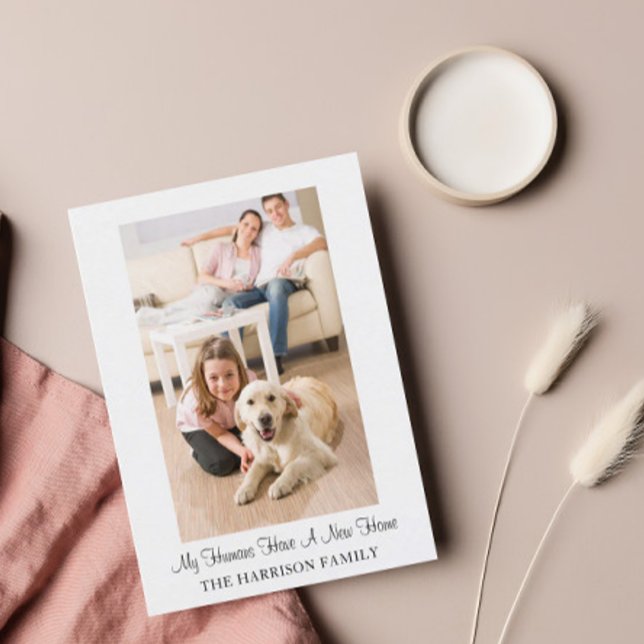 Cartão Postal Cachorro Engraçado Novo Endereço Movendo Anúncio (Criador carregado)