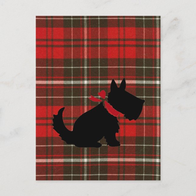 Cartão Postal Cachorro escocês bonito e tartan vermelho (Frente)