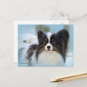 Cartão Postal Cachorro Espanhol de Papillon Bonito na Boca