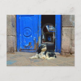 Cartão Postal Cachorro Esperando em Frente à Porta Azul, Cusco, 