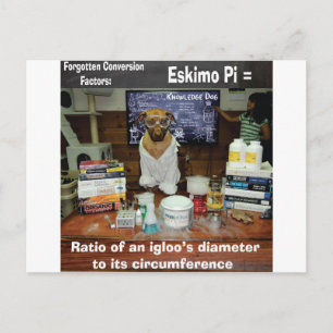 Cartão Postal Cachorro Esquecido Conversões Eskimo Pi