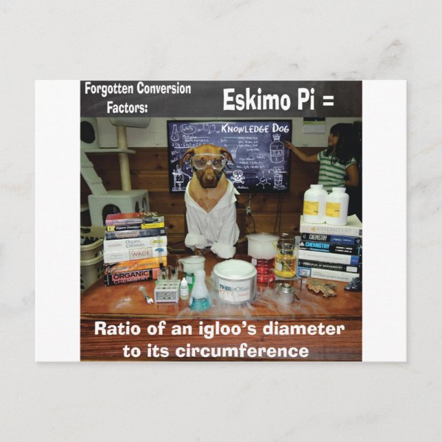 Cartão Postal Cachorro Esquecido Conversões Eskimo Pi (Frente)