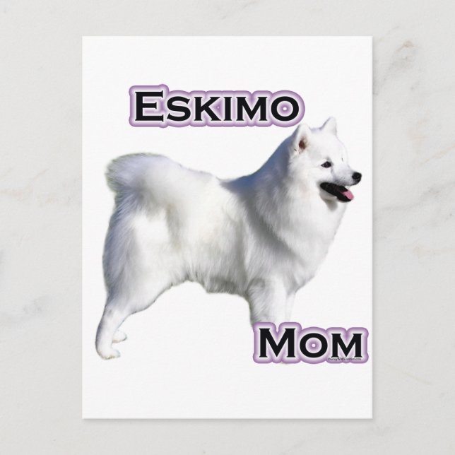 Cartão Postal Cachorro esquimó americano Mãe 4 (Frente)