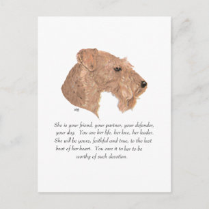 Cartão Postal Cachorro-feminino