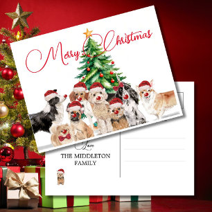 Cartão Postal Cachorro Feriado de Natal Passa Feliz Santa Hat
