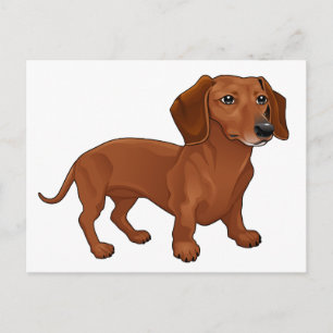 Cartão Postal Cachorro Filhote Dachshund - Olá, Pensando em Você