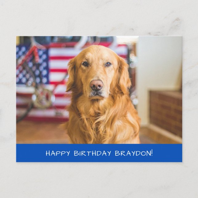 Cartão Postal Cachorro fofo da raça Golden Retriever (Frente)