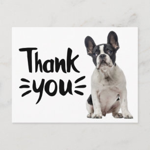 Cartão Postal Cachorro Francês Bonito Obrigado Cachorrinho Franc
