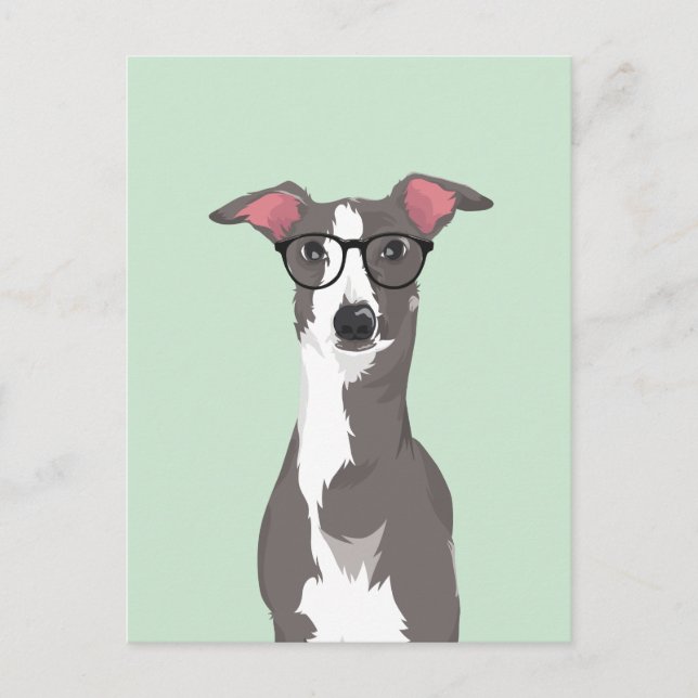 Cartão Postal Cachorro Galgo Italiano Hipster para Amantes de Cã (Frente)