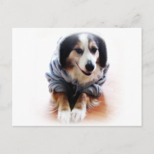 Cartão Postal Cachorro Gangsta Vestindo Hoodie