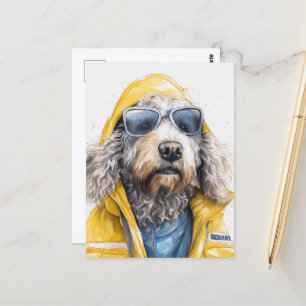 Cartão Postal Cachorro-giro num casaco amarelo
