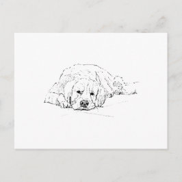 Cartão Postal Cachorro Golden Retriever Dormindo, Amante de Cach