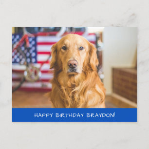 Cartão Postal Cachorro Golden Retriever Fofo