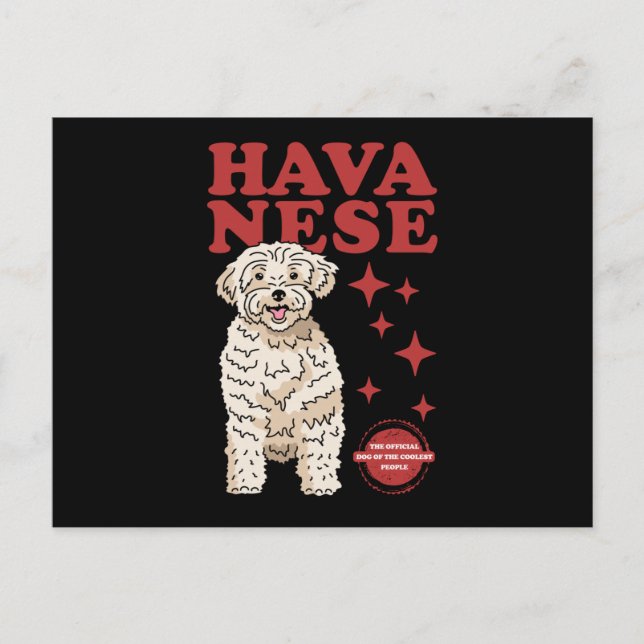 Cartão Postal Cachorro Havanês Da Mais Fria | Havaneses (Frente)