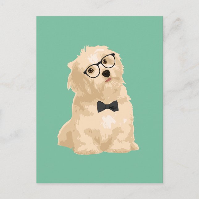 Cartão Postal Cachorro-Hipster-avermelhado-Havanês para amantes- (Frente)