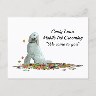 Cartão Postal Cachorro Labradoodle Em Folhas Cartaz