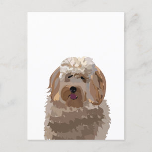 Cartão Postal Cachorro Labradoodle Fofo