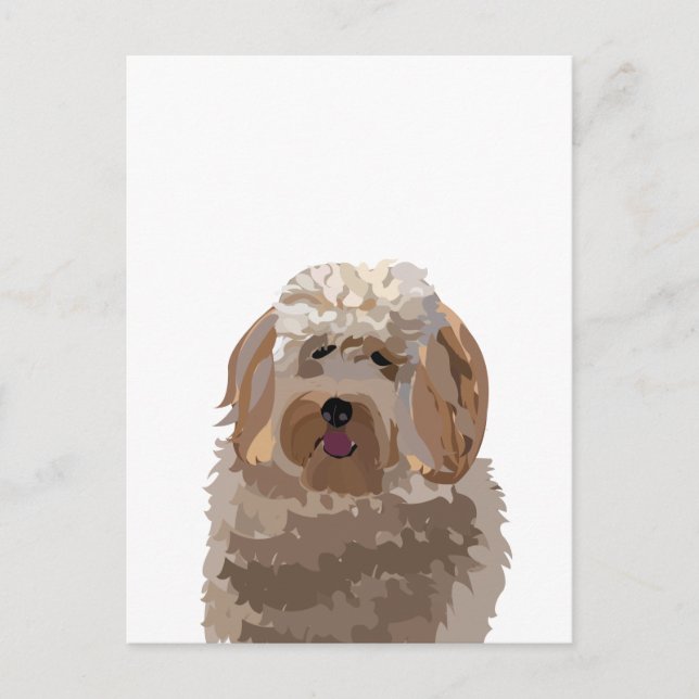 Cartão Postal Cachorro Labradoodle Fofo (Frente)
