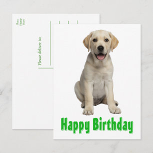 Cartão Postal Cachorro Labrador Retriever Amarelo Filhote de Cac