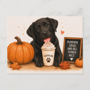 Cartão Postal Cachorro Labrador Retriever Preto Cozy Pumpkin Spi