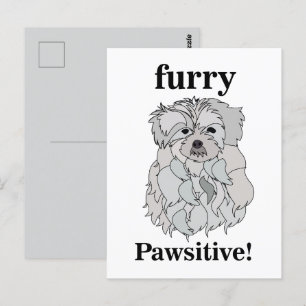 Cartão Postal Cachorro Maltês Animal Pet Engraçado