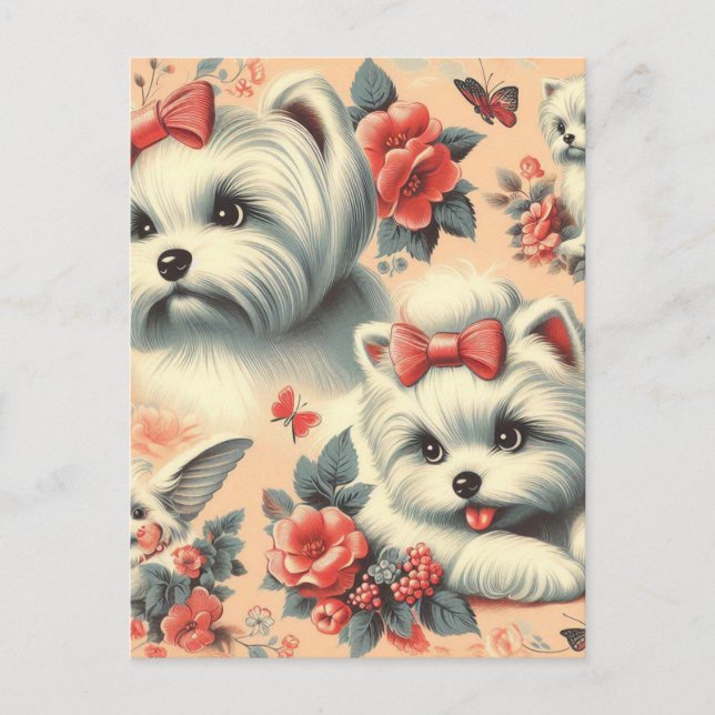 Cartão Postal Cachorro Maltês Cachado Vintage (Frente)