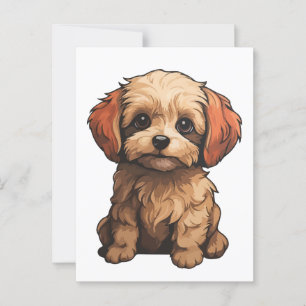 Cartão Postal Cachorro Maltipoo