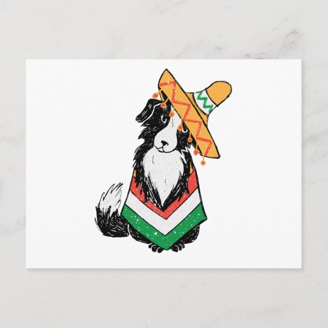Cartão Postal Cachorro Mexicano Sombrero E Poncho Cinco De Mayo (Frente)