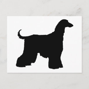 Cartão Postal Cachorro Negro Afegão