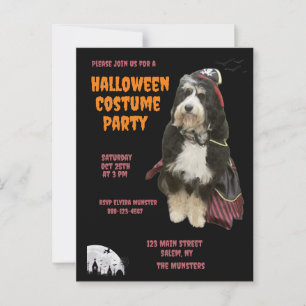 Cartão Postal Cachorro Negro e Laranja na Festa de Costume Pirat