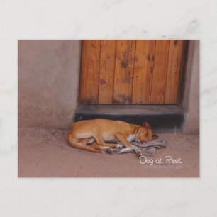Cartão Postal Cachorro no Descanso