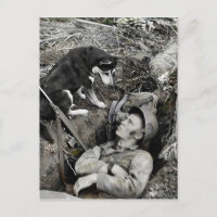Cachorro Observando Soldado em Seu Foxhole