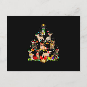 Cartão Postal Cachorro Passa Presente Chihuahua Árvore Natal Lu
