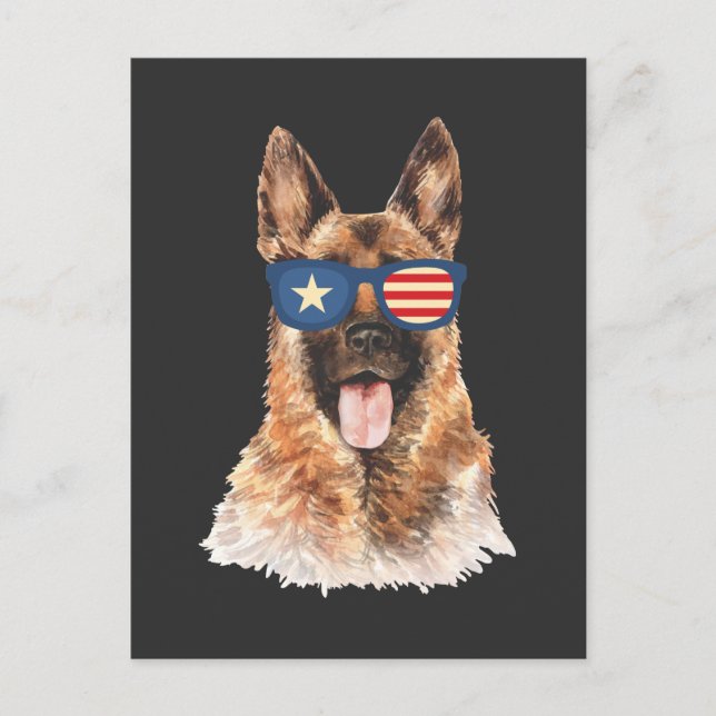 Cartão Postal Cachorro Pastor Alemão Bandeira Americana Oficial  (Frente)