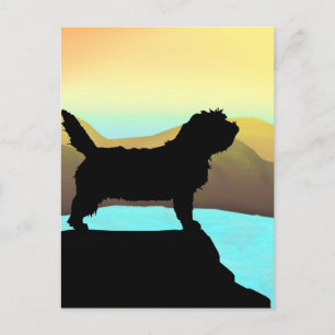 Cartão Postal Cachorro PBGV Por Mar