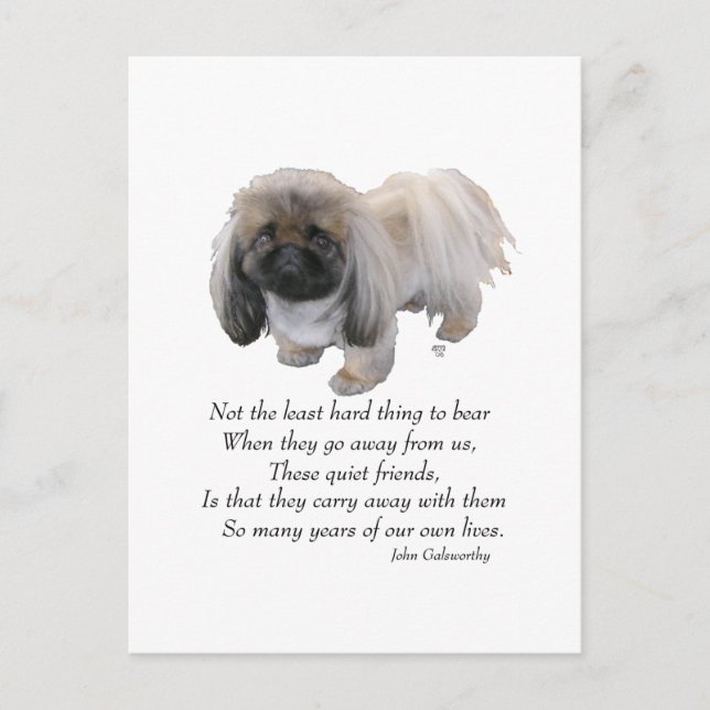 Cartão Postal Cachorro Pequinês Ponte do Arco-íris (Frente)