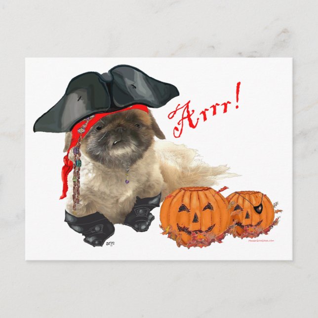 Cartão Postal Cachorro Pirata (Frente)