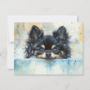 Cartão Postal Cachorro Pomeraniano Bonito na Banheira