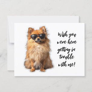 Cartão Postal Cachorro Pomerano Bonito Queria Que Você Estivesse