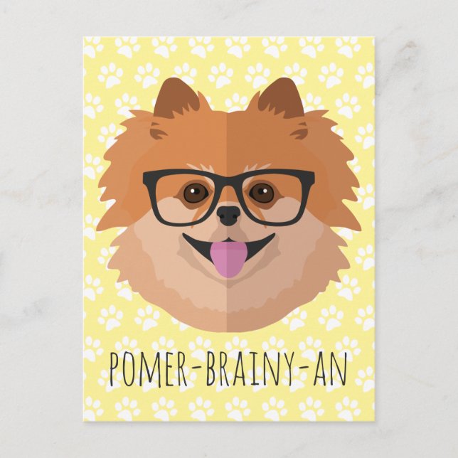Cartão Postal Cachorro Pomerano Em Óculos De Nerd | POMER-BRAINY (Frente)