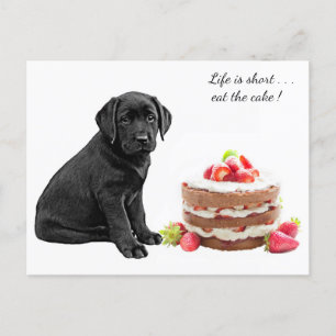 Cartão Postal Cachorro Preto - Cachorro Aniversário - Cachorro