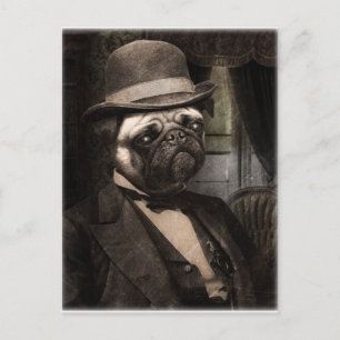 Cartão Postal Cachorro Pug Cavalheiro Chique