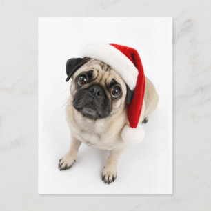 Cartão Postal Cachorro Pug Fawn Natal Chapéu de Papai Noel Olhos
