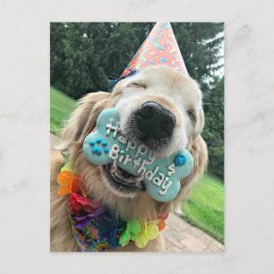 Cartão Postal Cachorro Retriever Dourado Com Biscoito Feliz Aniv
