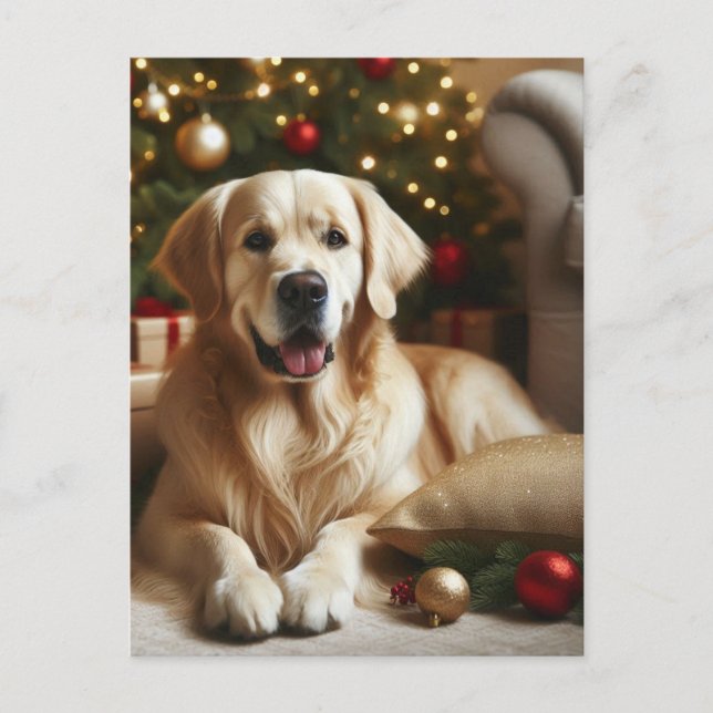 Cartão Postal Cachorro Retriever Dourado Natal (Frente)
