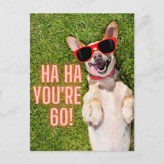 Cartão Postal Cachorro Rindo 60º Aniversário (Frente)