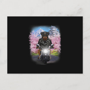 Cartão Postal cachorro rottweiler em passeio de motocicleta cere