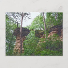 Cartão Postal Cachorro Saltando do Stand Rock em Wisconsin Dells