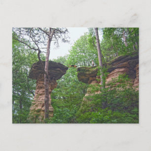 Cartão Postal Cachorro Saltando do Stand Rock em Wisconsin Dells